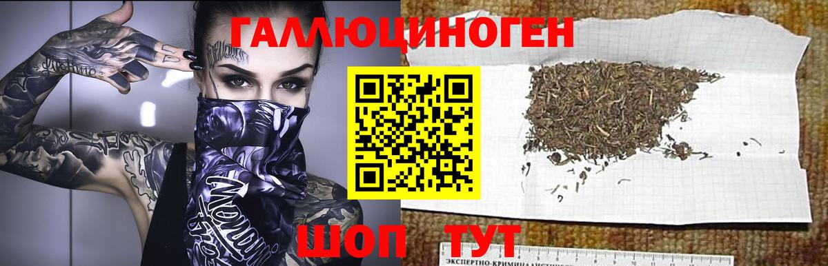 где найти наркотики  Галлюциногенные грибы Psilocybe  Вход с VPN  Коммунар  Псилоцибиновые грибы Cubensis 